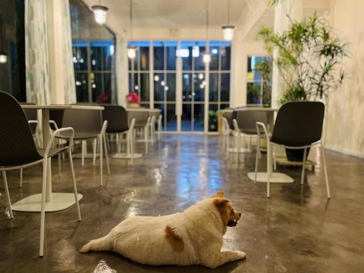 Shenzhen Loft Youth Hostel エクステリア 写真